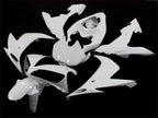 Unpainted Injection Fairing kit for 04-06 YZF-R1 - White - Factory Style #OYO87902498